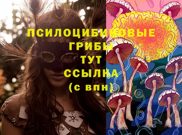 прущие крисы Арсеньев
