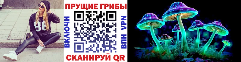 Галлюциногенные грибы Magic Shrooms  где найти наркотики  Новочебоксарск 