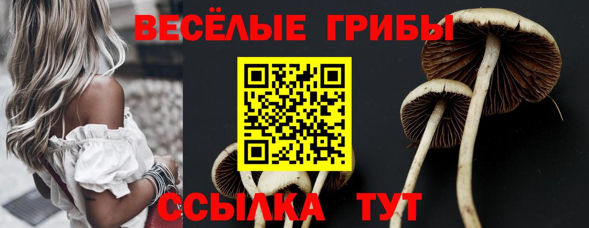 Новочебоксарск  Галлюциногенные грибы ЛСД  Вход с VPN 